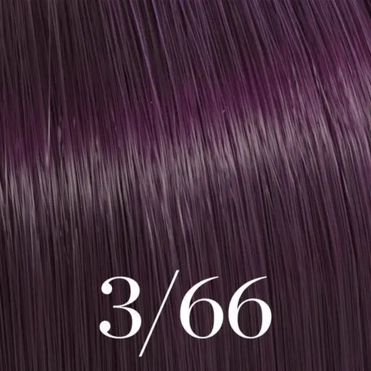 COLOR TOUCH - 3/66