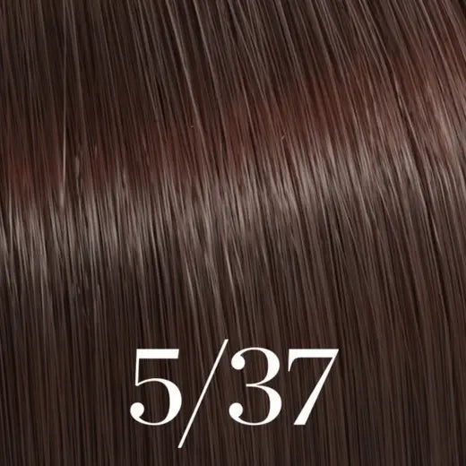 COLOR TOCH - 5/37