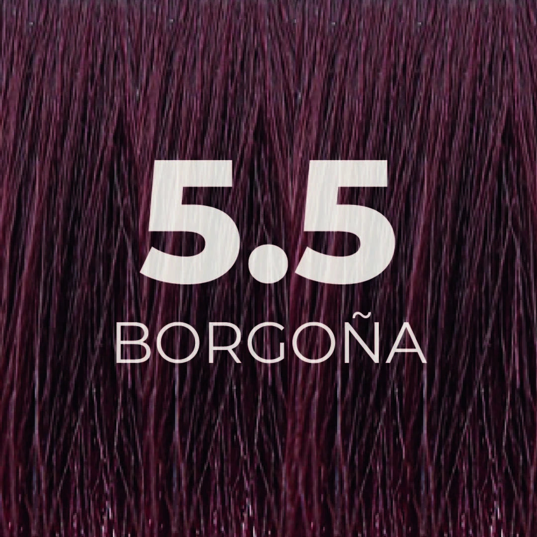 Tinte Borgoña 5.5