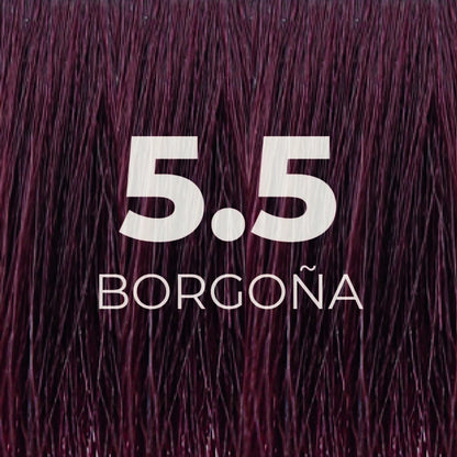 Tinte Borgoña 5.5