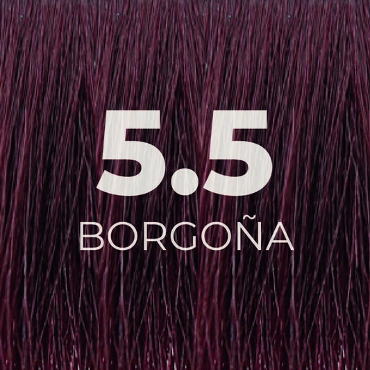 Tinte Borgoña 5.5