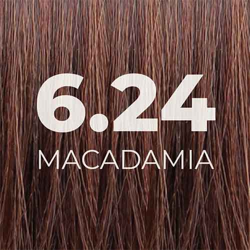 Tinte Macadamia 6.24