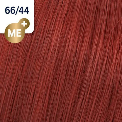 WELLA - 66/44