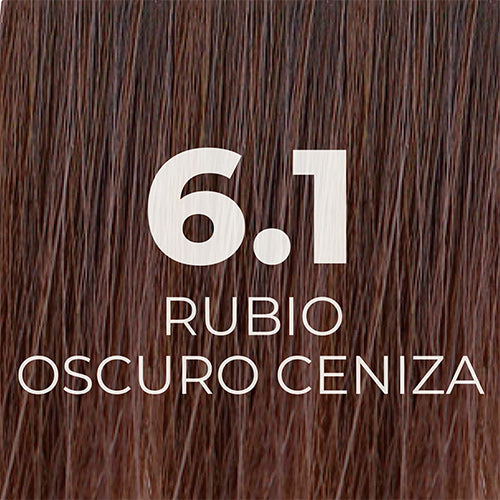 Tinte Rubio Oscuro Ceniza 6.1