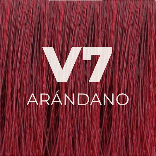 Tinte Arándano V7